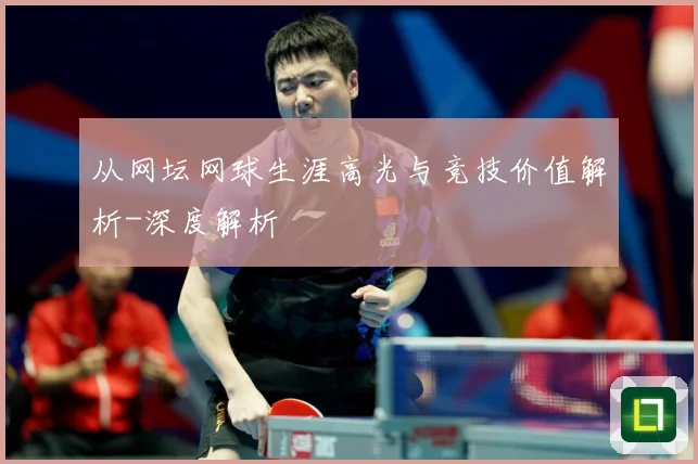 从网坛网球生涯高光与竞技价值解析-深度解析