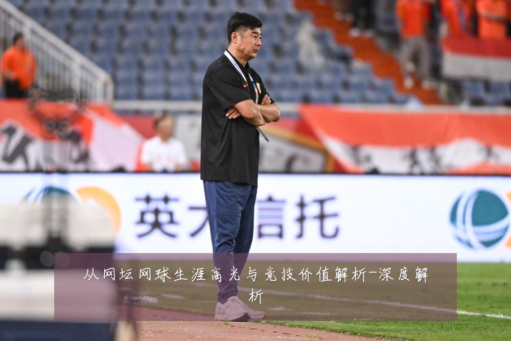 从网坛网球生涯高光与竞技价值解析-深度解析