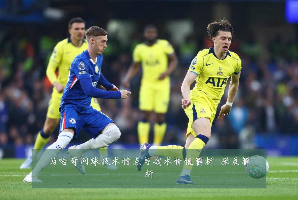 马哈奇网球技术特点与战术价值解析-深度解析