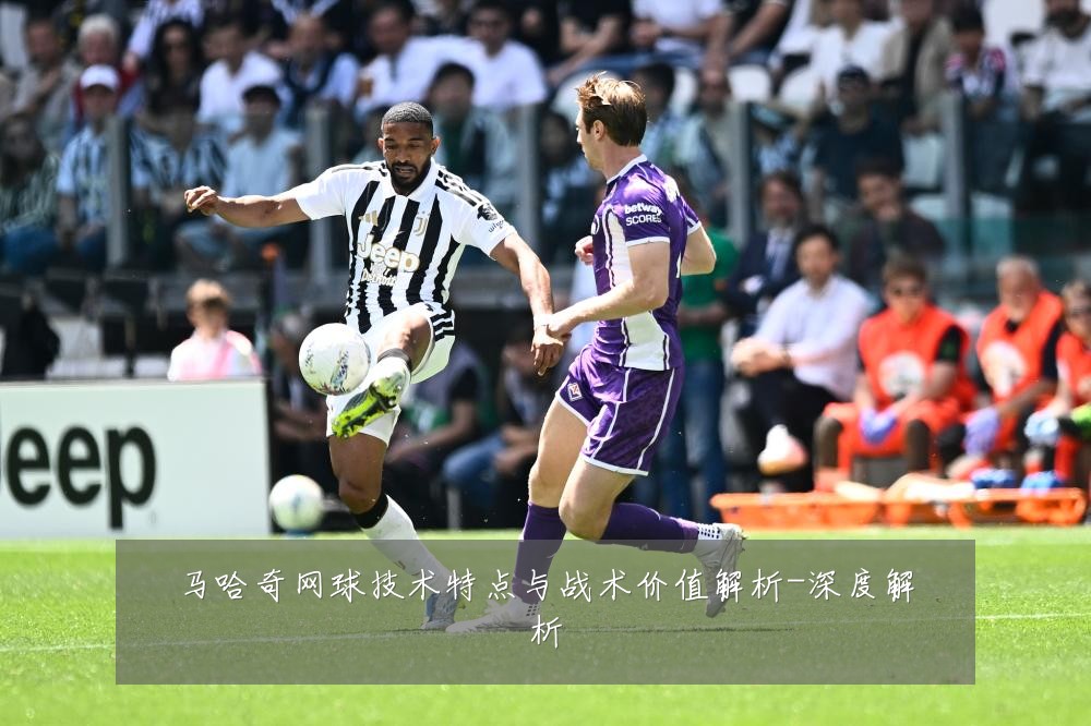 马哈奇网球技术特点与战术价值解析-深度解析